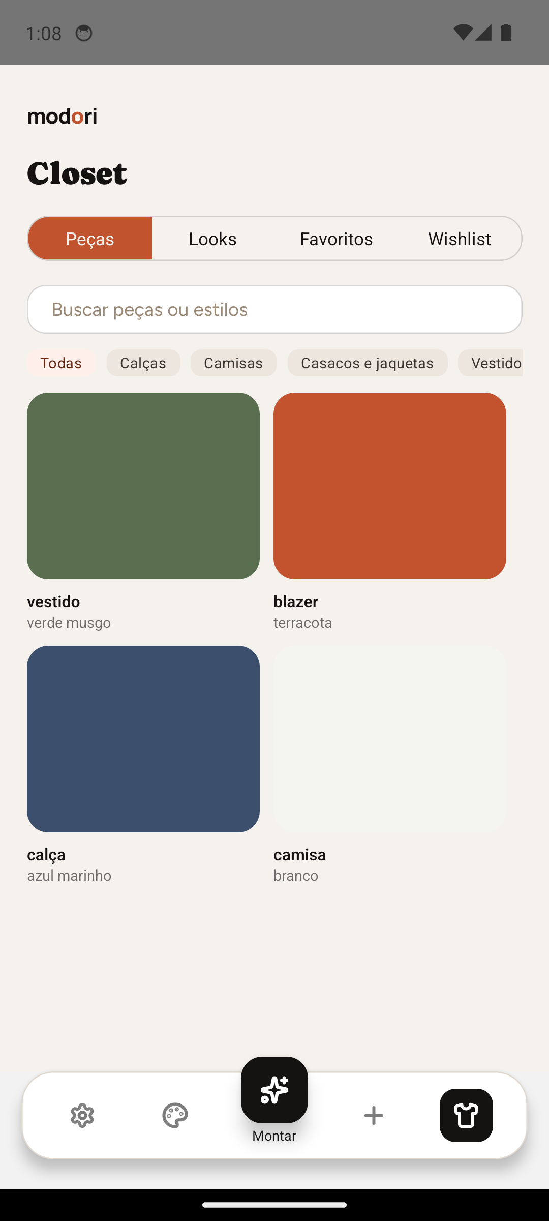Tela do closet com peças cadastradas